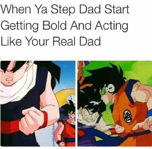 dragon ball z memes, dragon ball memes, DBZ jokes, Saiyan humor, Kamehameha comedy, anime memes, manga humor, animated show gags, otaku quips, funny Dragon Ball, comedic DB moments, lighthearted Z jokes, humorous Saiyan bits, Goku references, heroic nods, spiky-haired tributes, earth's champion jokes