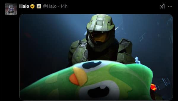 duolingo owl dead memes, duolingo memes, duolingo owl death, Duolingo owl memes, (uo the Owl memes, Duolingo mascot jokes, language app humor, Drake vs Duolingo, Drake diss memes, Kendrick vs Drake jokes, rapper feud memes, Cybertruck crash memes, Tesla accident jokes, Elon Musk memes, viral vehicle fails