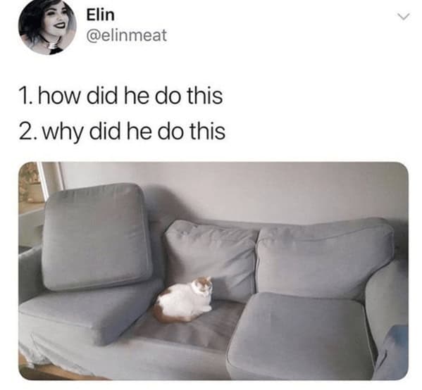 1. how did he do this 2. why did he do this