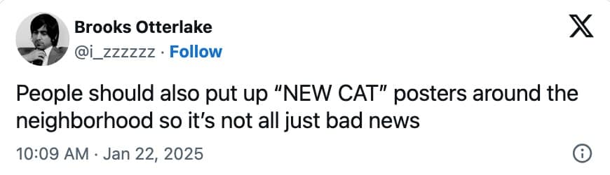 funny cat memes, cat memes, hilarious cat memes, comical cat memes, amusing cat memes, cat humor, viral cat videos, internet cat culture, feline comedy, trending cat clips, online cat antics