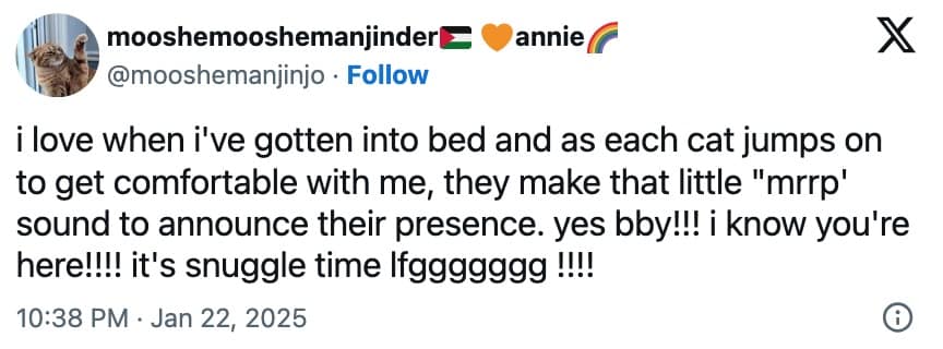 funny cat memes, cat memes, hilarious cat memes, comical cat memes, amusing cat memes, cat humor, viral cat videos, internet cat culture, feline comedy, trending cat clips, online cat antics