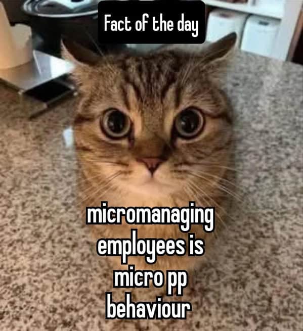 micromanaging employees is micropp behaviour