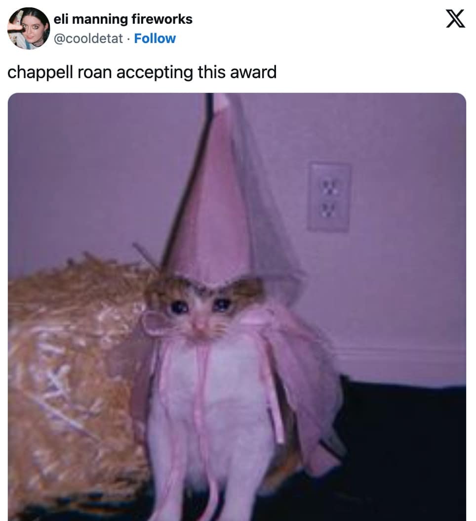 funny cat memes, cat memes, hilarious cat memes, comical cat memes, amusing cat memes, cat humor, viral cat videos, internet cat culture, feline comedy, trending cat clips, online cat antics