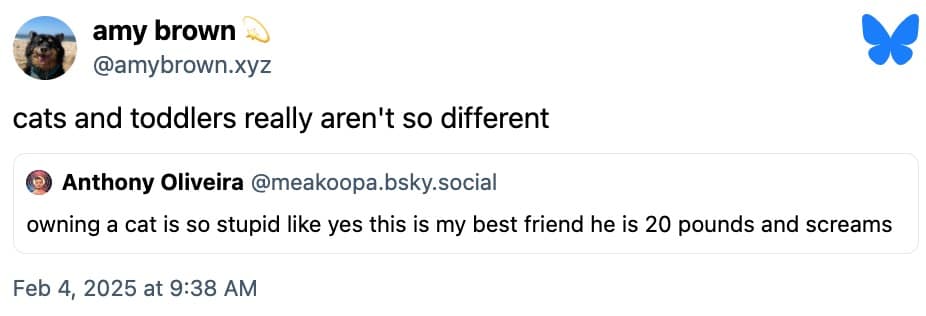 funny cat memes, cat memes, hilarious cat memes, comical cat memes, amusing cat memes, cat humor, viral cat videos, internet cat culture, feline comedy, trending cat clips, online cat antics