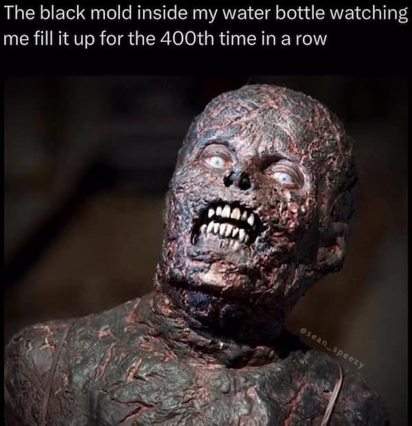 funny food memes, food memes, comedic cuisine jokes, food humor, snacking humor, cooking memes, kitchen jokes, meal prepping laughter, culinary amusements, food humor, appetite jokes, eating puns, meal-based comedy, hungry jokes, gastronomic giggles, munching references, big appetite humor