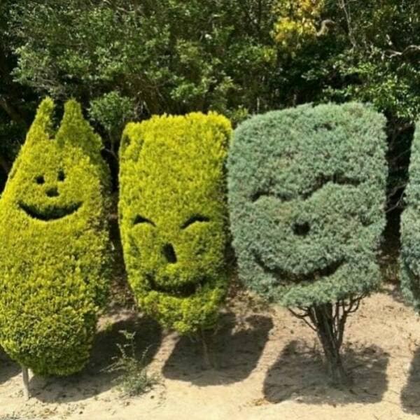 funny gardening pics, comical garden snaps, amusing planter photos, laugh-inducing greenery, hilarious yard fails, outdoor blunders, epic backyard mistakes, unintentional garden humor, garden humor, horticultural comedy, floral laughs, green-thumb giggles, plant jokes, punny sprouts, vegetation puns, leafy laughs