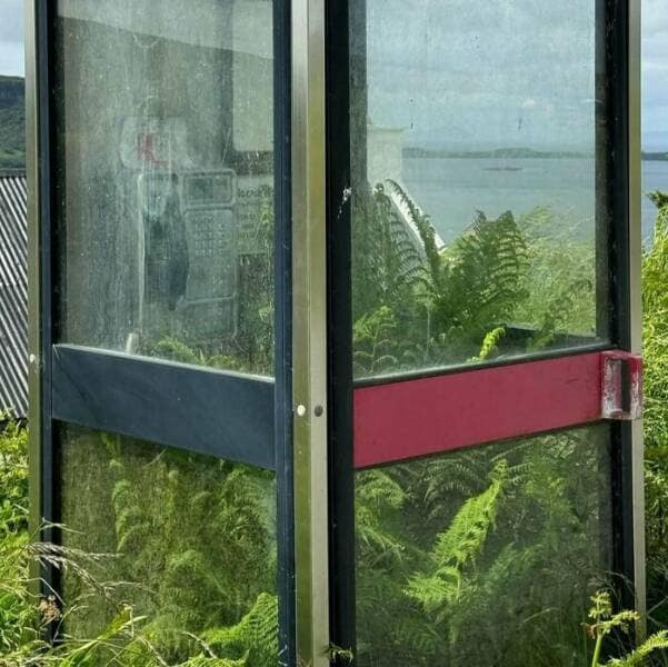 funny gardening pics, comical garden snaps, amusing planter photos, laugh-inducing greenery, hilarious yard fails, outdoor blunders, epic backyard mistakes, unintentional garden humor, garden humor, horticultural comedy, floral laughs, green-thumb giggles, plant jokes, punny sprouts, vegetation puns, leafy laughs