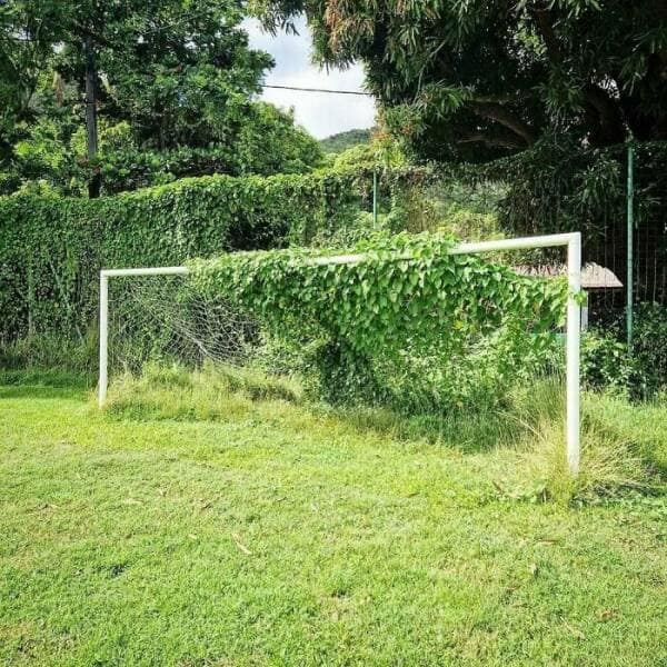 funny gardening pics, comical garden snaps, amusing planter photos, laugh-inducing greenery, hilarious yard fails, outdoor blunders, epic backyard mistakes, unintentional garden humor, garden humor, horticultural comedy, floral laughs, green-thumb giggles, plant jokes, punny sprouts, vegetation puns, leafy laughs