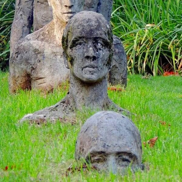 funny gardening pics, comical garden snaps, amusing planter photos, laugh-inducing greenery, hilarious yard fails, outdoor blunders, epic backyard mistakes, unintentional garden humor, garden humor, horticultural comedy, floral laughs, green-thumb giggles, plant jokes, punny sprouts, vegetation puns, leafy laughs