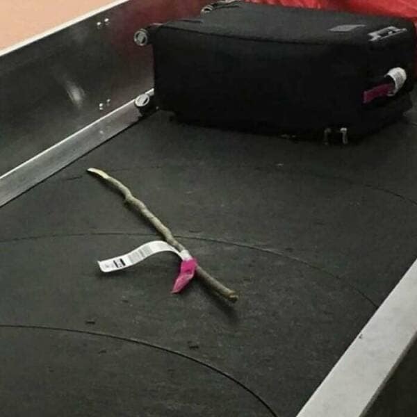 funny gardening pics, comical garden snaps, amusing planter photos, laugh-inducing greenery, hilarious yard fails, outdoor blunders, epic backyard mistakes, unintentional garden humor, garden humor, horticultural comedy, floral laughs, green-thumb giggles, plant jokes, punny sprouts, vegetation puns, leafy laughs