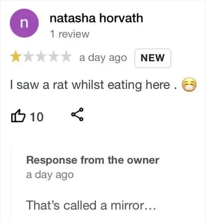 funny google reviews, hilarious reviews, unhinged reviews, absurd reviews, bizarre complaints, unexpected compliments, business owner replies, rant reviews, gas station reviews, duck reviews