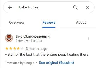 funny google reviews, hilarious reviews, unhinged reviews, absurd reviews, bizarre complaints, unexpected compliments, business owner replies, rant reviews, gas station reviews, duck reviews