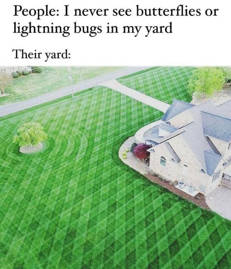 People: I never see butterflies or lightning bugs in my yard Their yard:
