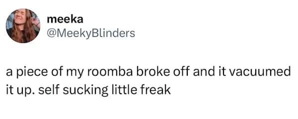 a piece of my roomba broke off and it vacuumed it up. self sucking little freak