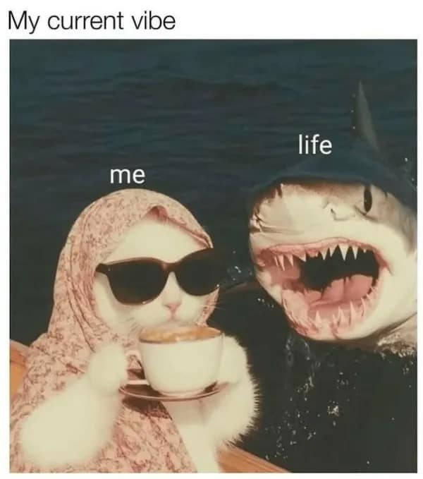 My current vibe me life