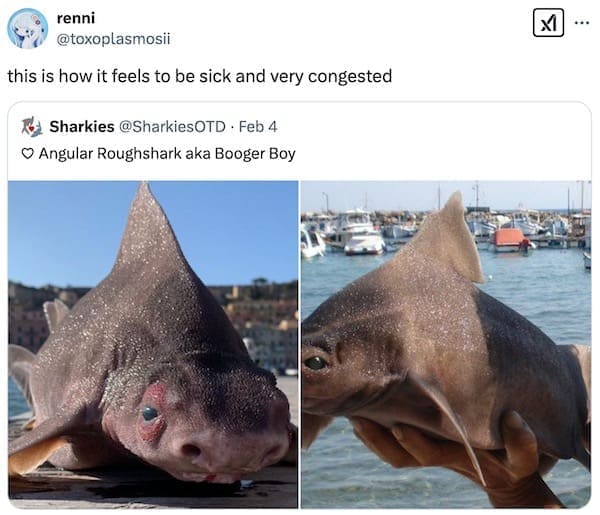 this is how it feels to be sick and very congested