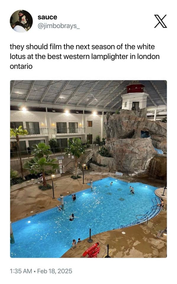 they should film the next season of the white lotus at the best western lamplighter in london ontario