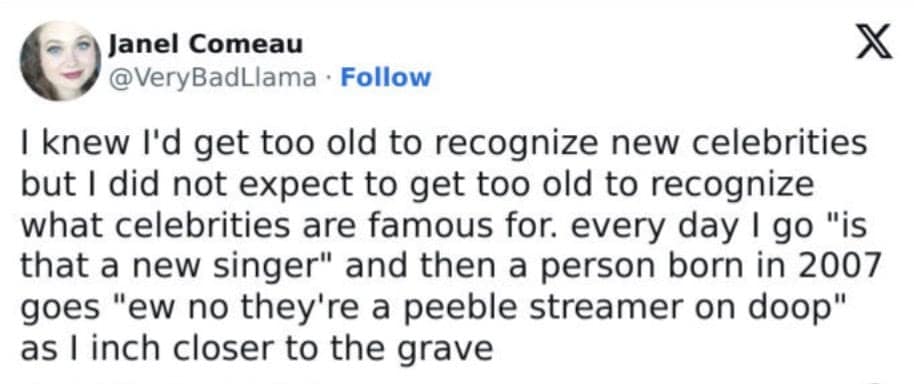 I knew l'd get too old to recognize new celebrities but I did not expect to get too old to recognize what celebrities are famous for. every day I go "is that a new singer" and then a person born in 2007 goes "ew no they're a peeble streamer on doop" as I inch closer to the grave