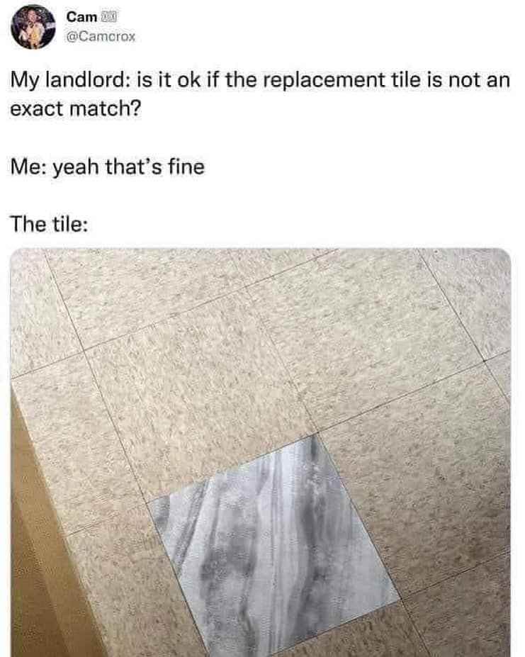 My landlord: is it ok if the replacement tile is not an exact match? Me: yeah that's fine The tile:
