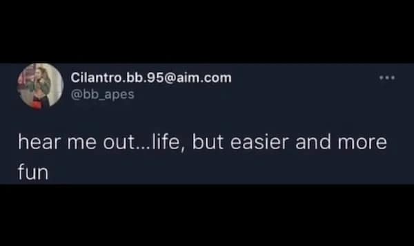 hear me out... life, but easier and more fun