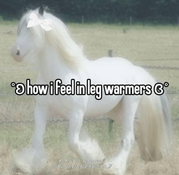 how I feel in leg warners