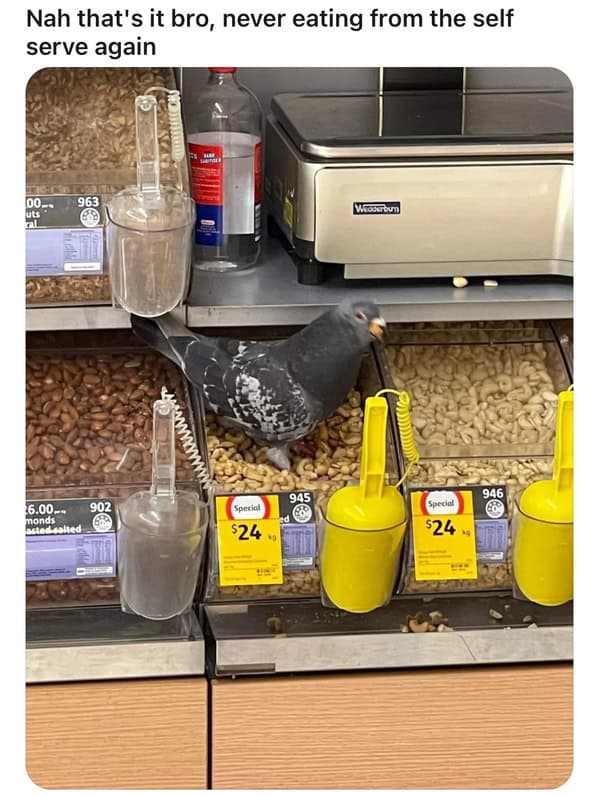 Nah that's it bro, never eating from the self serve again