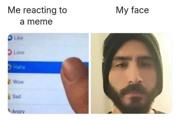 Me reacting to a meme • Like Lovel • Haha Wow Sad Angry My face