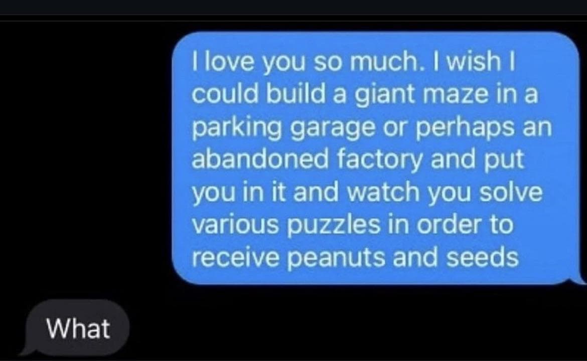 I love you so much. I wish I could build a giant maze in a parking garage or perhaps an abandoned factory and put you in it and watch you solve various puzzles in order to receive peanuts and seeds