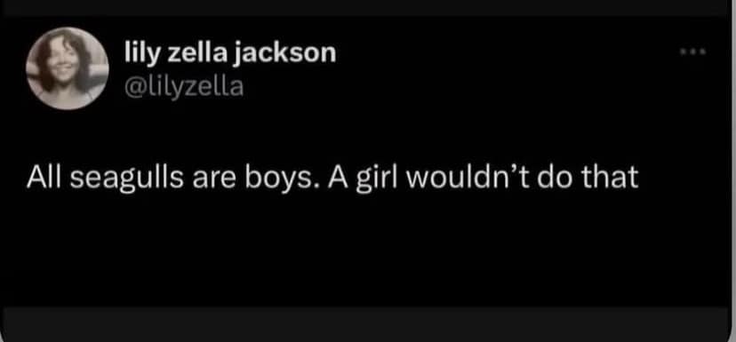 All seagulls are boys. A girl wouldn't do that