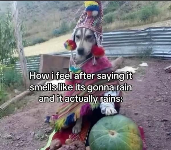 How i feel after saying it smells like its gonna rain and it actually rains: