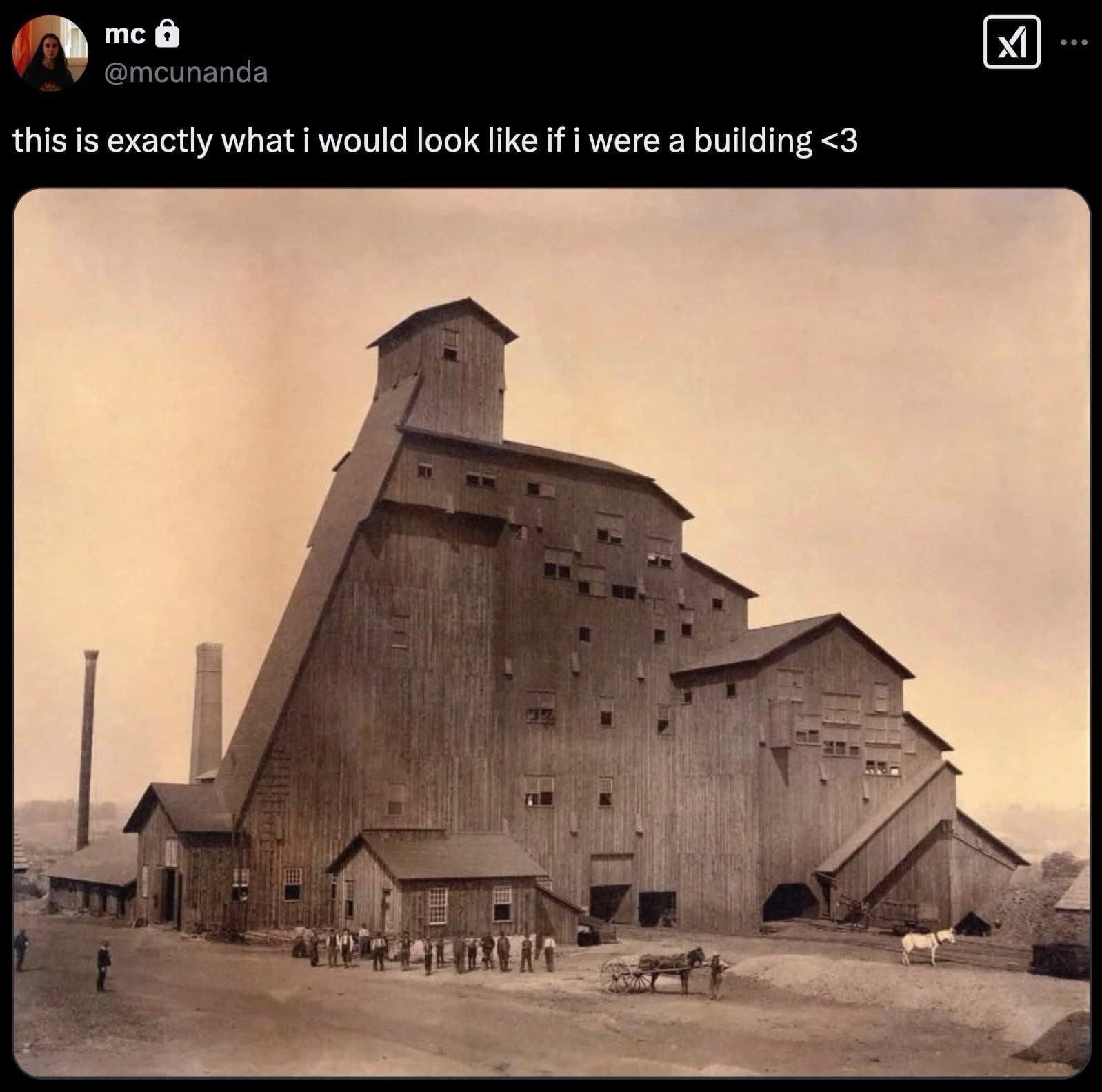 this is exactly what i would look like if i were a building