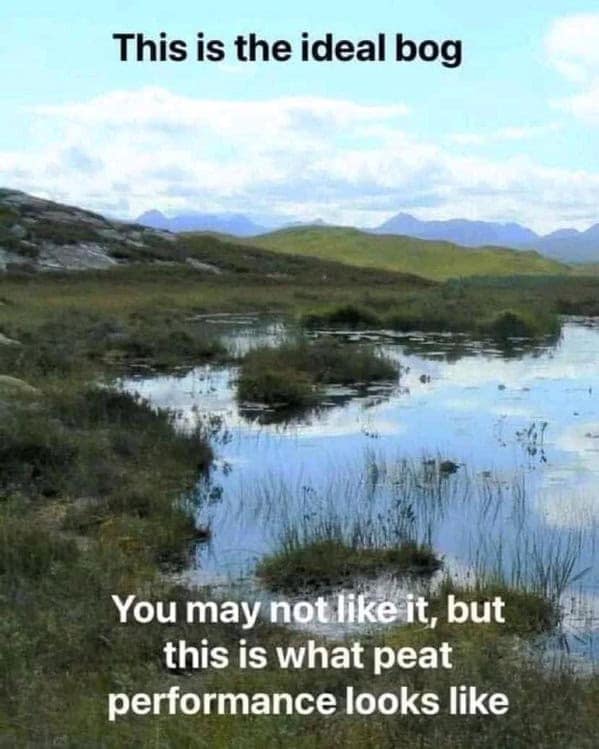 funny puns, pun memes, punny memes, comedic wordplay, witty one-liners, pun-based humor, bad jokes, cringe humor, awkward comedy, questionable quips, corny puns, silly wordplay, cheeseball lines, pun jokes, pun-liners, witty pun outbursts, pun-lovers