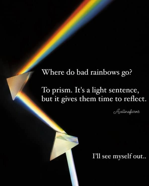 funny puns, punny memes, witty wordplays, punny phrases, linguistic jokes, pun memes, pun-based images, pun-themed posts, pun-laden content, wordplay jokes, clever puns, language twists, playful expressions, groan-worthy lines, cringe-inducing quotes, eye-roll humor, corny statements
