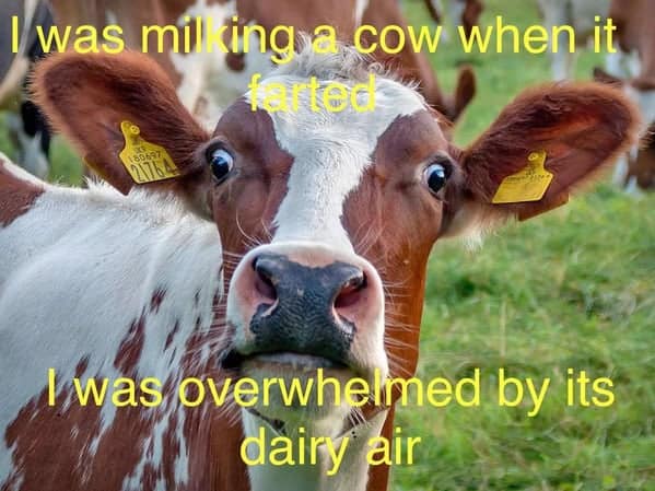 funny puns, pun memes, punny memes, comedic wordplay, witty one-liners, pun-based humor, bad jokes, cringe humor, awkward comedy, questionable quips, corny puns, silly wordplay, cheeseball lines, pun jokes, pun-liners, witty pun outbursts, pun-lovers