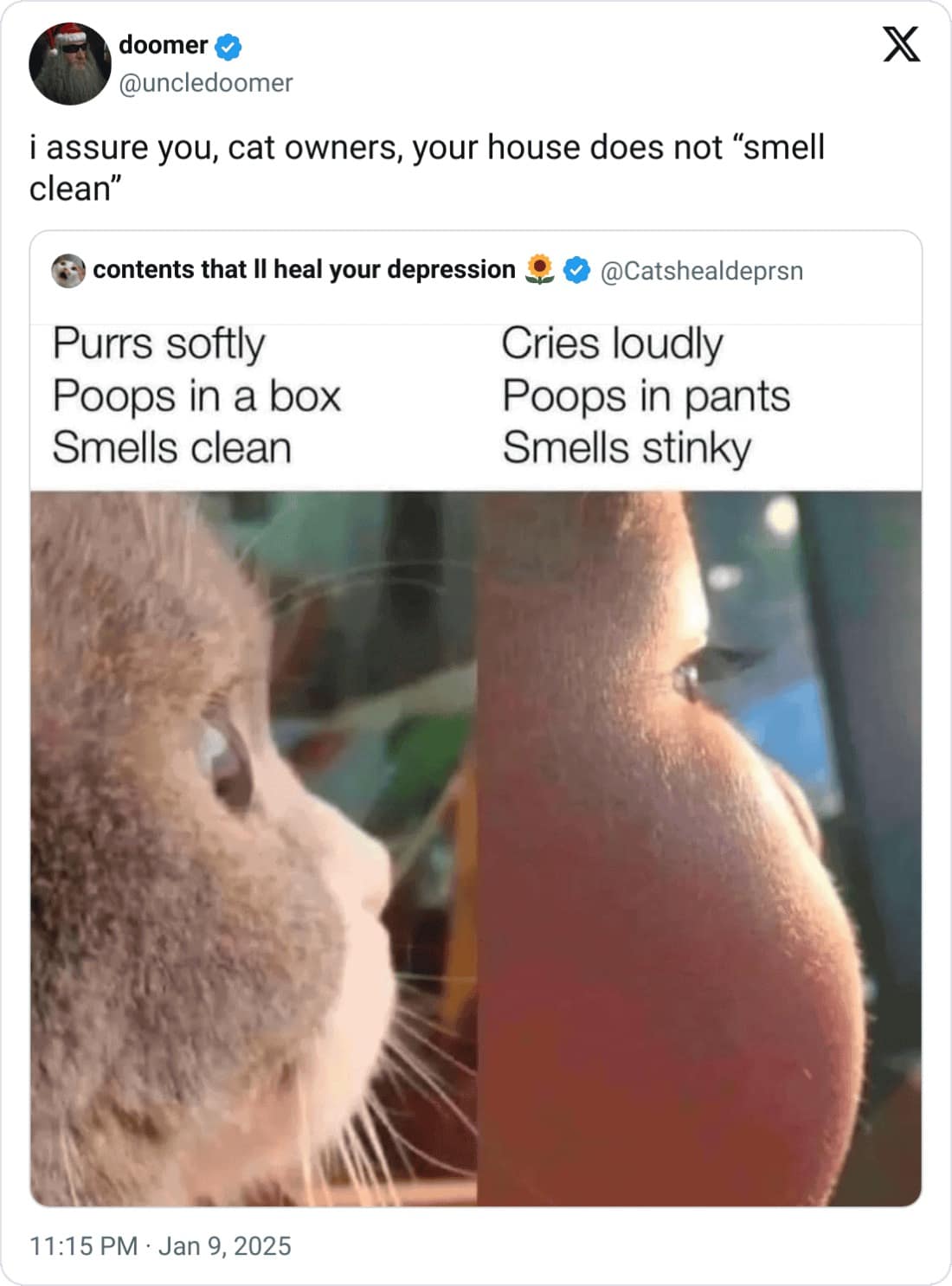 funny quote tweets, funny replies, witty retorts, sarcastic callouts, comedic tweet responses, viral tweets, trending tweets, massively shared tweets, top internet posts, tweet reactions, witty replies, savage comebacks, clever responses