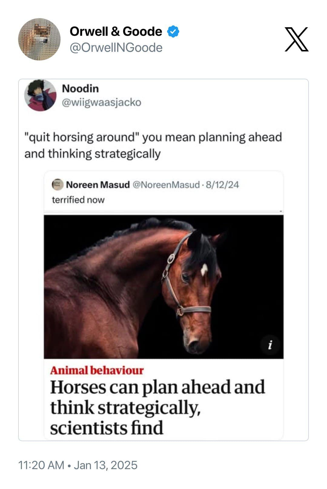 funny quote tweets, funny replies, witty retorts, sarcastic callouts, comedic tweet responses, viral tweets, trending tweets, massively shared tweets, top internet posts, tweet reactions, witty replies, savage comebacks, clever responses