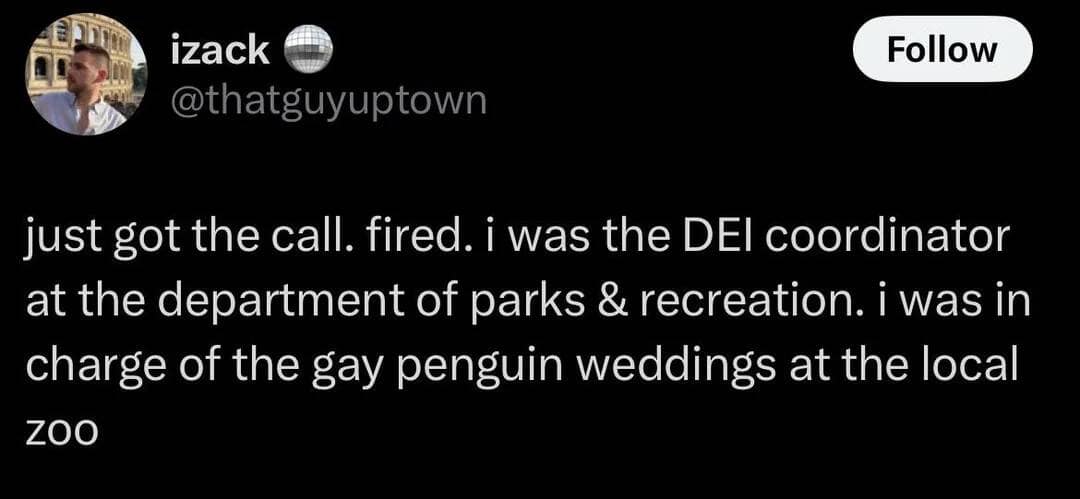 funny quotes, funny sayings, humorous sayings, comedic slogans, entertaining phrases, silly mantras, sharp comebacks, witty observations, quick retorts, online comedy, digital jokes, virtual funnies