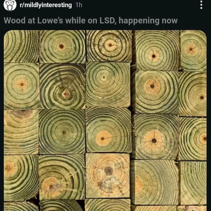 funny reddit posts, bizarre reddit posts, Reddit humor, internet jokes, viral posts, relatable humor, internet culture, weird posts, online humor, digital jokes, absurd content