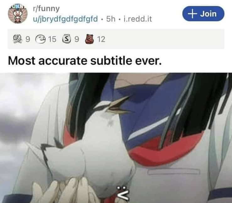 funny reddit posts, bizarre reddit posts, Reddit humor, internet jokes, viral posts, relatable humor, internet culture, weird posts, online humor, digital jokes, absurd content