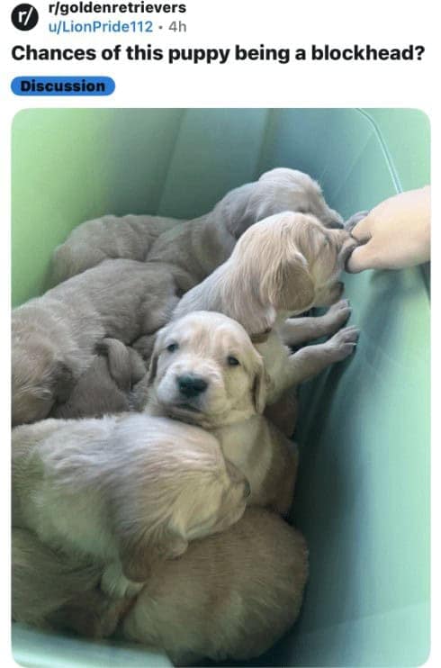 funny reddit posts, bizarre reddit posts, Reddit humor, internet jokes, viral posts, relatable humor, internet culture, weird posts, online humor, digital jokes, absurd content