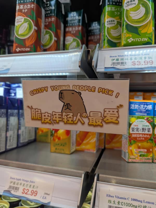 funny spelling mistakes, spelling fails, comedic typos, written errors, textual fails, lexical blunders, letter mixups, orthographic mishaps, sign bloopers, product misprints, labeling goofs, marketing typos, mistyped words, language stumbles, text-based goofs, textual slip-ups