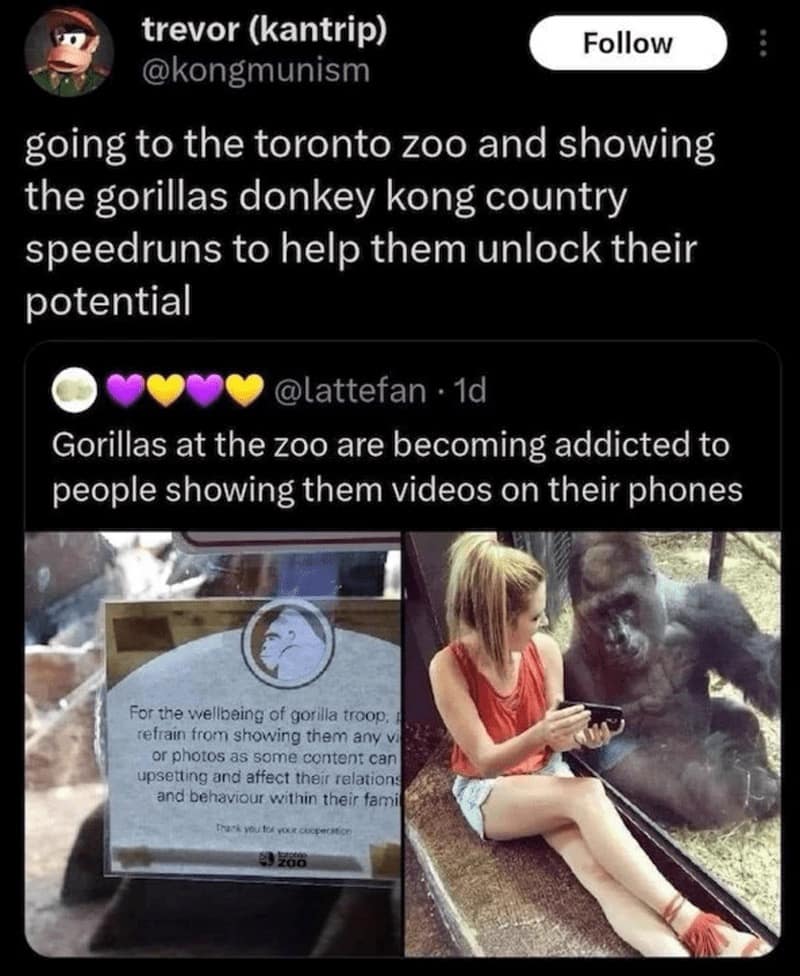 gamer memes, gaming memes, video game memes, relatable gamer moments, multiplayer memes, single-player struggles, gaming culture, video game jokes, gaming community