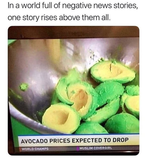 guacamole memes, avocado memes, guac memes, dip memes, guacamole jokes, toast memes