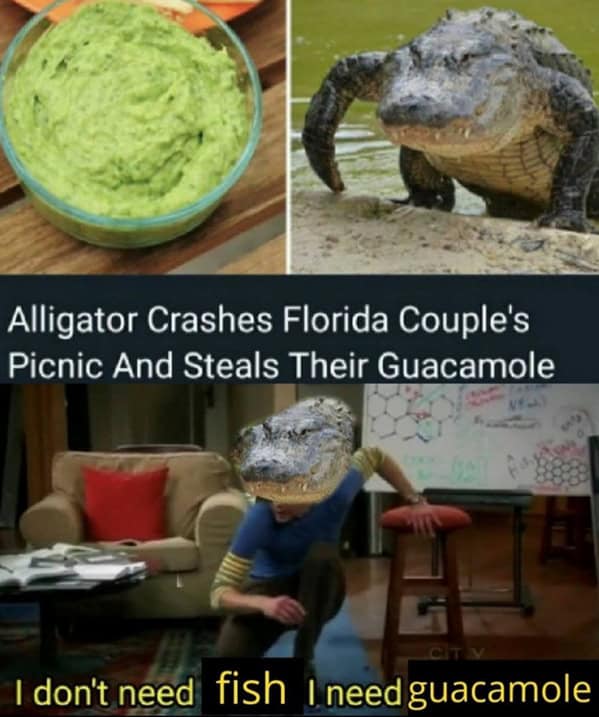 guacamole memes, avocado memes, guac memes, dip memes, guacamole jokes, toast memes