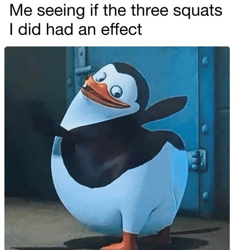 gym memes, workout memes, fitness memes, exercise memes, fitness jokes, exercise humor, health club jokes, gym life references, fitness content, funny gym quotes, comedic workout lines, humorous exercise remarks, sweat session jokes, bodybuilding gags, CrossFit banter, squat rack humor