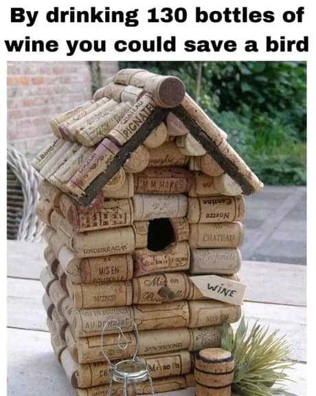 hangover meme, hangover memes, alcohol memes, hungover memes, hungover meme, morning-after misery, boozy regrets, headache humor, ,late-night jokes, party-induced silliness, comedic intoxication Sunday hangover meltdown, weekend crash, sobering morning, regretful dawn, hangover humor, inebriation jokes, tipsy confessions, dehydration gags