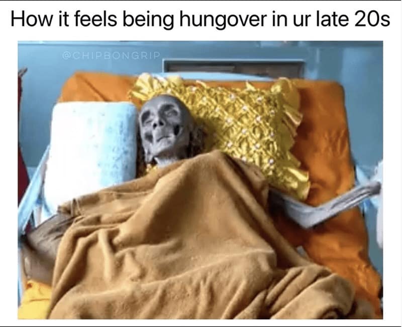 hangover meme, hangover memes, alcohol memes, hungover memes, hungover meme, morning-after misery, boozy regrets, headache humor, ,late-night jokes, party-induced silliness, comedic intoxication Sunday hangover meltdown, weekend crash, sobering morning, regretful dawn, hangover humor, inebriation jokes, tipsy confessions, dehydration gags