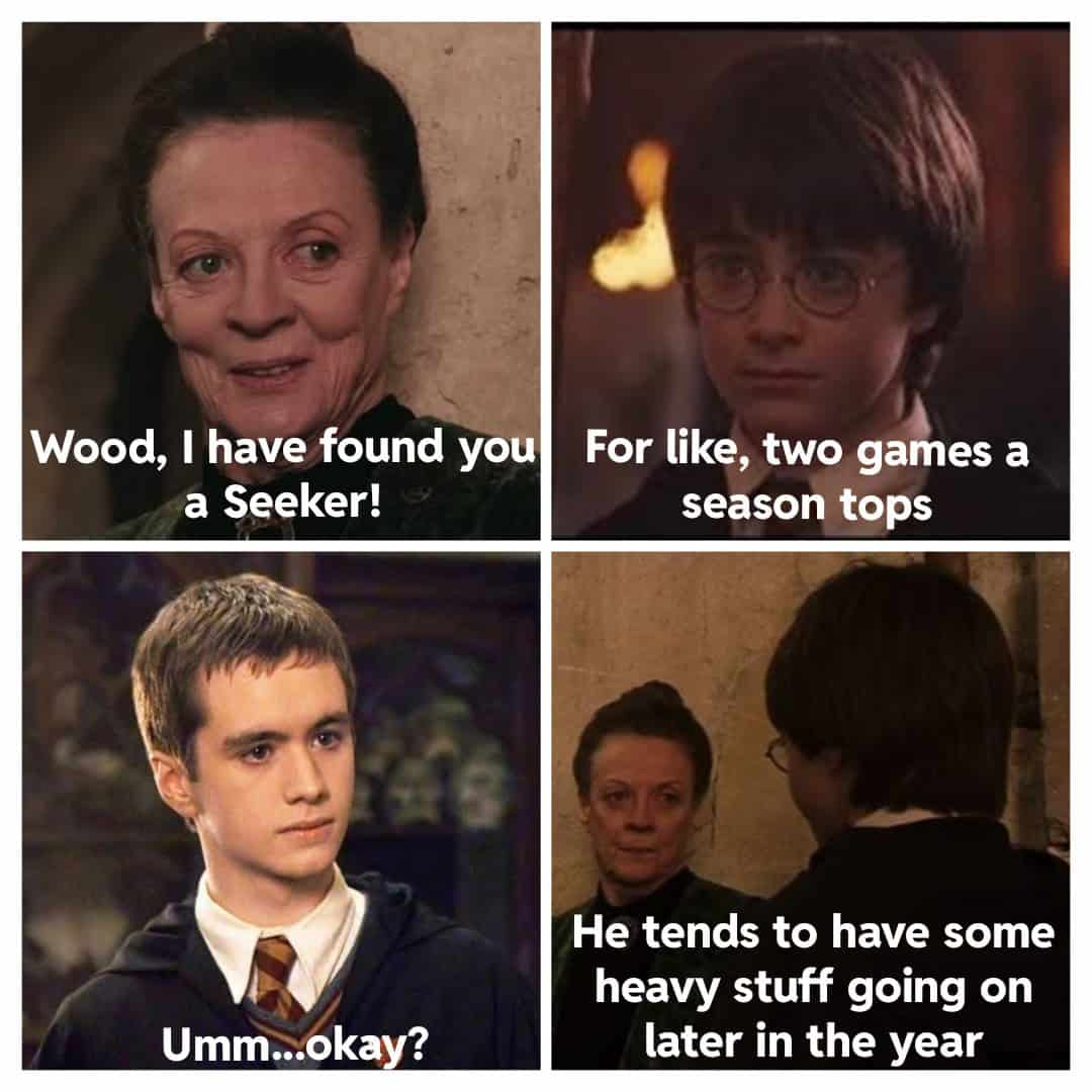 harry potter memes, wizarding world humor, Hogwarts jokes, Potterhead memes, fandom humor, pop culture jokes, magical humor, fan culture, internet jokes