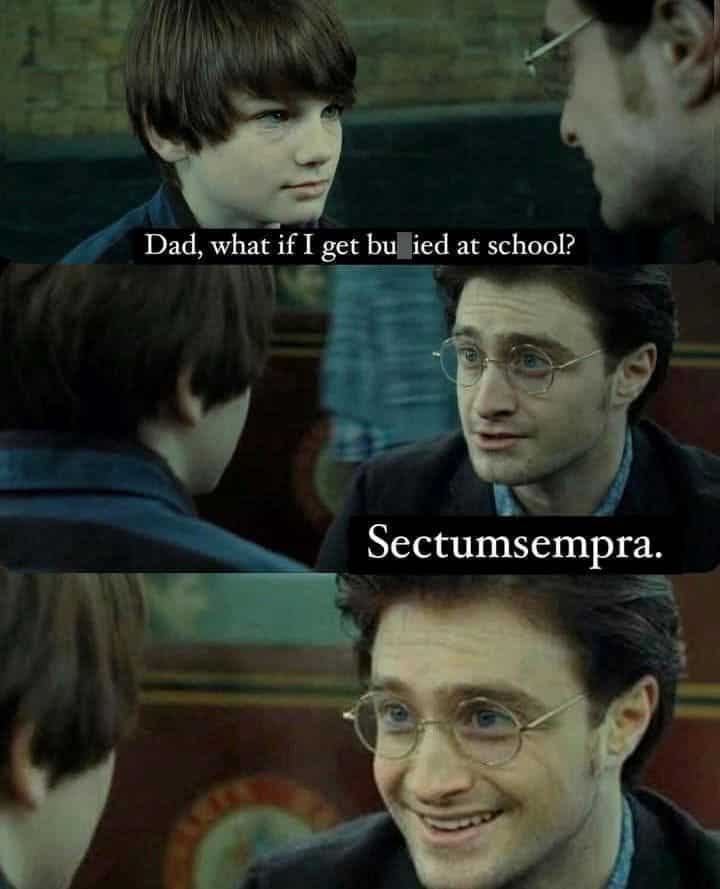 harry potter memes, wizarding world humor, Hogwarts jokes, Potterhead memes, fandom humor, pop culture jokes, magical humor, fan culture, internet jokes