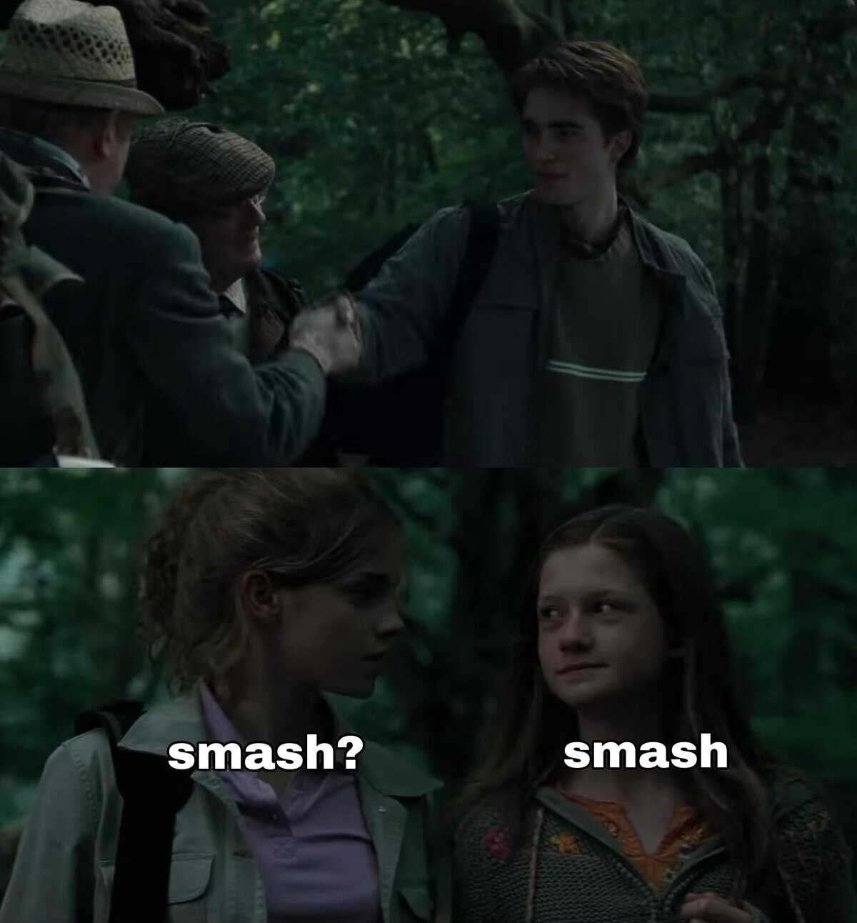 harry potter memes, wizarding world humor, Hogwarts jokes, Potterhead memes, fandom humor, pop culture jokes, magical humor, fan culture, internet jokes